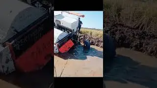 Kubota mesin potong padi di telan lumpur sawah ngeriii#shorts