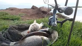Крупный КАРАСЬ на донку | Ловля карася на донку