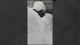 😂 Самое главное в копчении зимой ❄❄❄  