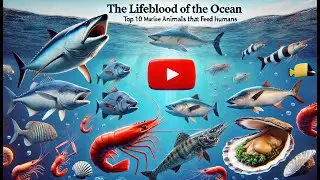The Lifeblood of the Ocean: Top 10 Marine Animals That Feed Humans