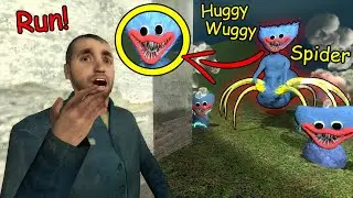 Never Meet Huggy Wuggy Spider