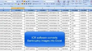 Bankruptcy form filling project automatic filling with Auto typer software