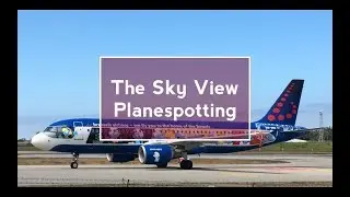 Smurfs Special Livery by Brussels Airlines | Planespotting at Porto | Francisco Sá Carneiro Airport