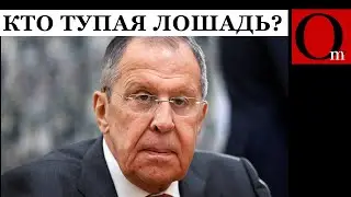 Лавров, как ишак путина,  не заинтересован ни в каких переговорах с Украиной