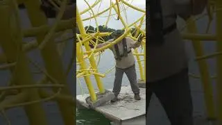 Dumping Fish Habitat! 