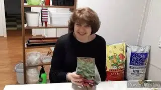 Новые растения для нашего сада. 