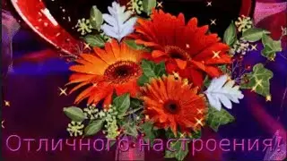Для моих друзей!!!!  Позитивчика сполна!!!! Всем привет вам от меня и прекрасного вам дня!!!