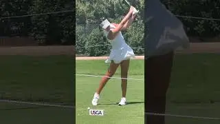 Golfer golfing