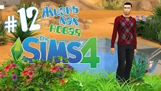 Бассейн безработным! - ч12 Sims 4