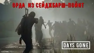 ОРДА ИЗ СЕЙДЖБАШ-ПОИНТ #DAYSGONE