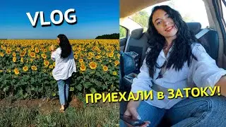 ВЛОГ: ПРИЕХАЛИ в ЗАТОКУ! ПОКАЗЫВАЮ НОМЕР, ПЛЯЖ. КАК ПОГОДА?