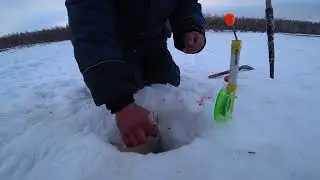 ВСЯ РЫБА С УТРА! Зимняя рыбалка на комбайны.