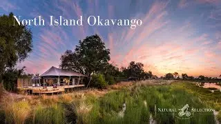 North Island Okavango | Okavango Delta | Botswana