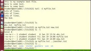 Linux Command Line: File Operations (3 of 8)