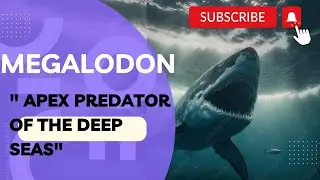 Megalodon 