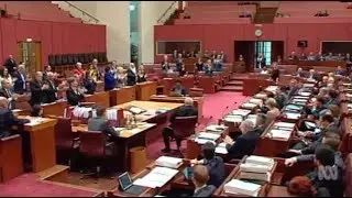 Burqa stunt: Govt doesn't join Labor & Greens in standing ovation for George Brandis