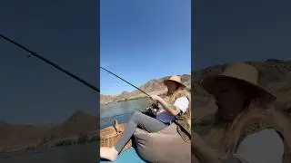 Поймала карася🤣 #юмор #funnyvideos #обзор #humor #топ #твич #vanlife