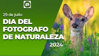 Dia fotógrafo naturaleza 2024