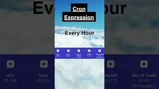 Cron Expression |  Every Hour