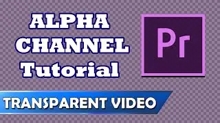 How To Transparent Background in Adobe Premiere - Alpha Channel Tutorial Guide