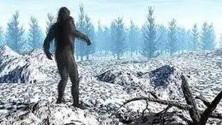 Снежный человек 4