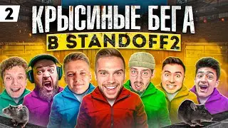 КТО ПРЕДАЛ ДРУГА РАДИ ГОЛДЫ? КРЫСИНЫЕ БЕГА В STANDOFF 2 0.25.1 #2