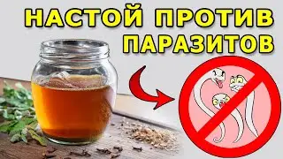 A powerful remedy for cleansing the body of parasites - natural antiparasitic cleaning with herbs