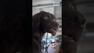 Любим каждого клиента!
