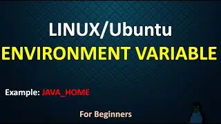 How to set environment variable in Linux | How to set path in Linux