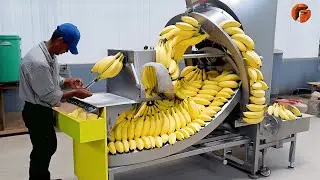 Mass Production Processes and Modern Manufacturing Machines ▶4