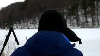 aer pasari bere - lacu 2