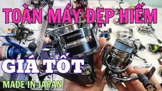 Lô Máy Câu Nhật Bản Tuyệt Đẹp Chính Hãng | Shimano Daiwa 