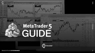 Гайд по использованию торгового терминала MetaTrader 5