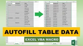 Auto Fill Table Data Gaps Excel VBA Macro