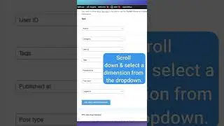 🧩 How To Add Custom Dimensions to WordPress (No Coding)