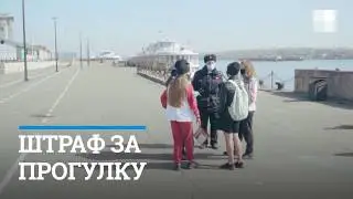 Штраф за прогулку | NGS24.ru