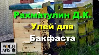 #Рахматулин