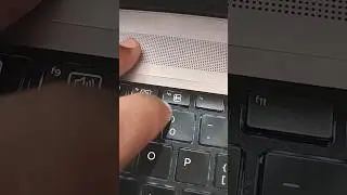 HP ProBook Series Laptop Audio Mic Not Working Problem in Windows 11,10