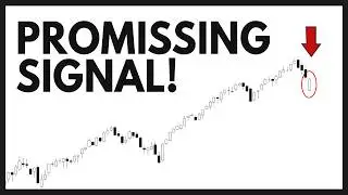 Technical Analysis of Stocks: NVDA / TSLA / SPY / QQQ / PLTR / AMD