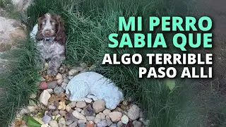 Todos los días mi perro me llevaba a ese extraño lugar