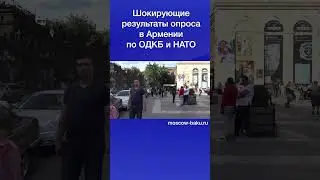 Шокирующие результаты опроса в Армении по ОДКБ и НАТО