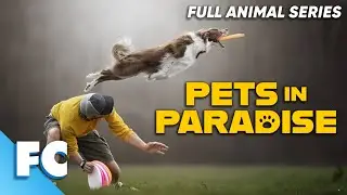 Pets In Paradise (4/26) | Season 1 Episode 4: Frisbee Dogs | Full Animal Documentary TV Show | FC