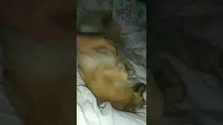 Salap buhay. patulog tulog lang 😊😊😊