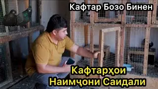 Бинен Кафтарои Наимчони Саидали.