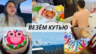 Везём КУТЬЮ родителям ❤️ Эльбрус 🏔️Заехали к тёте/ Кошки больше нет ☹️