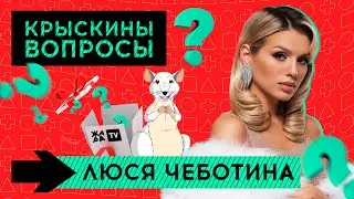 Вопросы от крыски /// Люся Чеботина