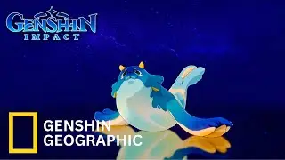 IF GENSHIN HAS A WILDLIFE DOCUMENTARY! (BLUBBERBEAST) | Genshin Impact