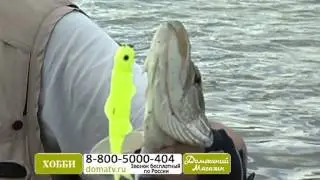Набор приманок «Мечта рыбака». Набор силиконовых рыбок - наживок. domatv.ru