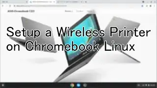 Setup a Wireless Printer on Chromebook Linux