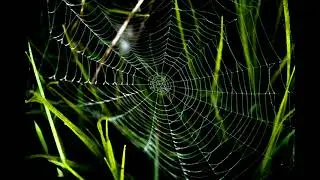 (FREE) NEW FUTURE x LIL BABY TYPE BEAT 